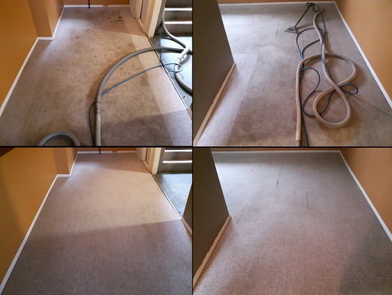 Notice the difference an Xtreme Cleaning makes! Prince George Carpet Cleaning