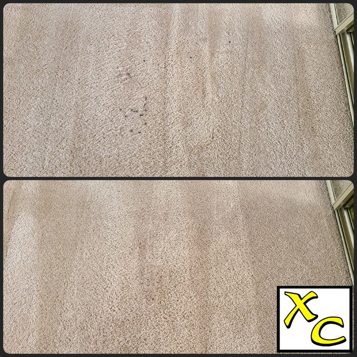 Carpet with blood stains on top, the same carpet clean below