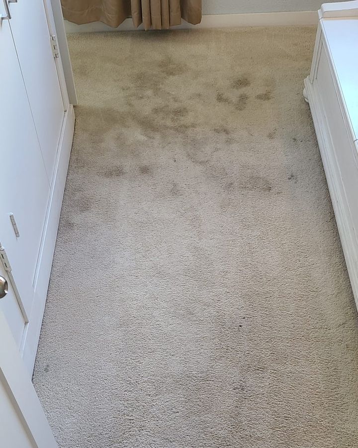 Bedroom carpet before cleaning, with dark soil patches near the window