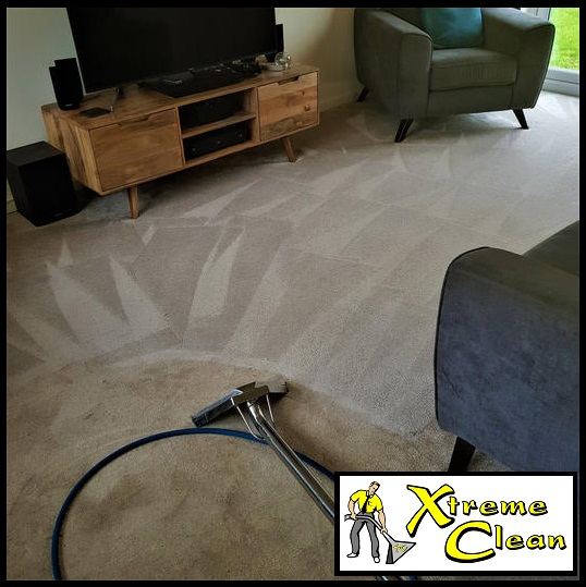 Living room carpet mid-clean, with fresh clean wand stripes beside the dirty section